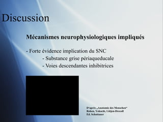 Discussion Mécanismes neurophysiologiques impliqués Forte évidence implication du SNC - Substance grise périaqueducale - Voies descendantes inhibitrices D‘après „Anatomie des Menschen“ Rohen, Yokochi, Lütjen-Drecoll Ed. Schattauer 