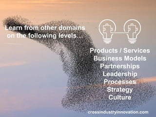 Products / Services
Business Models
Partnerships
Leadership
Processes
Strategy
Culture
Learn from other domains
on the following levels…
crossindustryinnovation.com
 