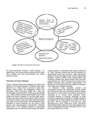 Importance, biology, epidemiology, and management of Xanthomonas ...