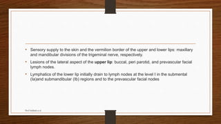 • Sensory supply to the skin and the vermilion border of the upper and lower lips: maxillary
and mandibular divisions of the trigeminal nerve, respectively.
• Lesions of the lateral aspect of the upper lip: buccal, peri parotid, and prevascular facial
lymph nodes.
• Lymphatics of the lower lip initially drain to lymph nodes at the level I in the submental
(Ia)and submandibular (Ib) regions and to the prevascular facial nodes
Prof Subbiah et al
 