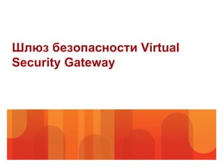 Шлюз безопасности Virtual
Security Gateway
 