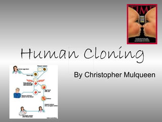 Human Cloning By Christopher Mulqueen 