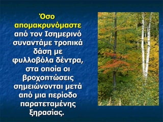 Όσο απομακρυνόμαστε  από τον Ισημερινό συναντάμε τροπικά δάση με φυλλοβόλα δέντρα, στα οποία οι βροχοπτώσεις σημειώνονται μετά από μια περίοδο παρατεταμένης ξηρασίας.  