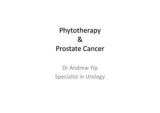 Phytotherapy
&
Prostate Cancer
Dr Andrew Yip
Specialist in Urology

 