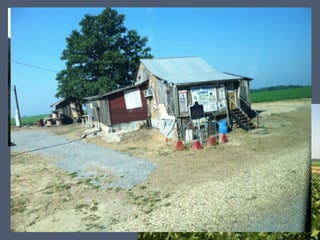 Push Factors of the Great
Migration
• Sharecropping – a system of agriculture in
which the land owner lets someone else
do the farming.
– At harvest, the tenant gave the landlord a
large chunk (up to 50%!) of the crop to sell as
payment for use of the land
– Tenants also had to pay the landlord for the
tools, fertilizer, seeds, and their own food!
• Set up post-slavery, but instead made the
sharecroppers essentially wage-slaves!

 