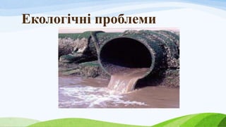 Екологічні проблеми
 