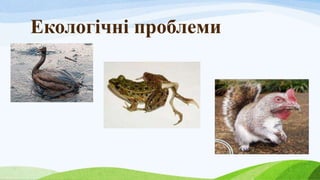 Екологічні проблеми
 