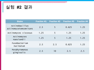 실험 #2 결과
Stains Fraction #1 Fraction #2 Fraction #3 Fraction #4
Actinobacillus
actinomycetemcomitans
2.5 5 0.625 1.25
Actinomyces viscosus 1.25 5 1.25 1.25
Actinomyces
naeslundii
1.25 5 1.25 1.25
Fusobacterium
nucleatum
2.5 2.5 0.625 1.25
Porphyromonas
gingivalis
2.5 10 2.5 2.5
 