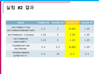 실험 #2 결과
Stains Fraction #1 Fraction #2 Fraction #3 Fraction #4
Actinobacillus
actinomycetemcomitans
2.5 5 0.625 1.25
Actinomyces viscosus 1.25 5 1.25 1.25
Actinomyces
naeslundii
1.25 5 1.25 1.25
Fusobacterium
nucleatum
2.5 2.5 0.625 1.25
Porphyromonas
gingivalis
2.5 10 2.5 2.5
 