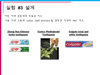 실험 #3 설계
다른 치약 성분과의 효용성 비교
시중 치약 3 종과 Lotus leaf extract 를 함유한 치약의 MIC 비교
Zhong Hua Chinese
herbs toothpaste
Cortex Phellodendri
Toothpaste
Colgate total and
white toothpaste
 
