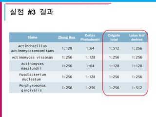 실험 #3 결과
Stains Zhong Hua
Cortex
Phellodendri
Colgate
total
Lotus leaf
derived
Actinobacillus
actinomycetemcomitans
1:128 1:64 1:512 1:256
Actinomyces viscosus 1:256 1:128 1:256 1:256
Actinomyces
naeslundii
1:256 1:64 1:128 1:128
Fusobacterium
nucleatum
1:256 1:128 1:256 1:256
Porphyromonas
gingivalis
1:256 1:256 1:256 1:512
 