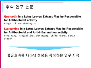 후속 연구 논문
Quercetin in a Lotus Leaves Extract May be Responsible
for Antibacterial activity
Mingyu Li and Zhuting Xu
Lysicamine in a Lotus Leaves Extract May be Responsible
for Antibacterial and Anti-inflammation activity
Ping Wang, Mingzhi Zhu, Wen Huang, Chifu Huang, Sarah
Wilson
항균효과를 나타낸 성분을 특정하는 연구 지속
 