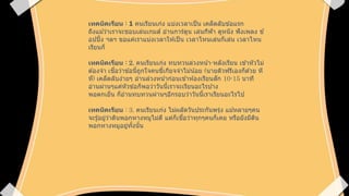 เทคนิคเรียน :1 คนเรียนเก่ง แบ่งเวลาเป็นเคล็ดลับข้อแรก ถึงแม้ว่าเราจะชอบเล่นเกมส์ อ่านการ์ตูน เล่นกีฬา ดูหนัง ฟังเพลง ช้ อปปิ้ง ฯลฯ ขอแค่เราแบ่งเวลาให้เป็น เวลาไหนเล่นก็เล่น เวลาไหน เรียนก็ 
เทคนิคเรียน :2. คนเรียนเก่ง ทบทวนล่วงหน้า-หลังเรียน เข้าหัวไม่ ต้องจาเชื่อว่าข้อนี้ถูกใจคนขี้เกียจจาไม่น้อย (นายติวฟรีเองก็ด้วย หึ หึ) เคล็ดลับง่ายๆ อ่านล่วงหน้าก่อนเข้าห้องเรียนสัก 10-15นาที อ่านผ่านๆแค่หัวข้อก็พอว่าวันนี้เราจะเรียนอะไรบ้าง 
พอตกเย็น ก็อ่านทบทวนผ่านๆอีกรอบว่าวันนี้เราเรียนอะไรไป 
เทคนิคเรียน : 3. คนเรียนเก่ง ไม่ผลัดวันประกันพรุ่งแม้หลายๆคน จะรู้อยู่ว่าดินพอกหางหมูไม่ดี แต่ก็เชื่อว่าทุกๆคนก็เคยหรือยังมีดิน พอกหางหมูอยู่ทั้งนั้น  