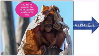 ΑΣΚΗΣΕΙΣΩχ, πού να κρυφτώ; Λες να με εξετάσει ο καθηγητής μου;  