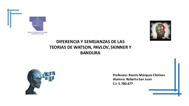 22 Diferencia Semejanzas P W S B Roberto San Juan