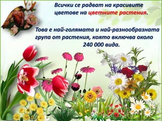 Всички се радват на красивите 
цветове на цветните растения. 
Това е най-голямата и най-разнообразната 
група от растения,...