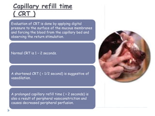 Capillary refill time
( CRT )
Evaluation of CRT is done by applying digital
pressure to the surface of the mucous membranes
and forcing the blood from the capillary bed and
observing the return stimulation.
Normal CRT is 1 – 2 seconds.
A shortened CRT ( < 1/2 second) is suggestive of
vasodilation.
A prolonged capillary refill time ( > 2 seconds) is
also a result of peripheral vasoconstriction and
causes decreased peripheral perfusion.
 