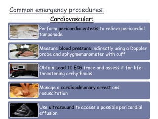 Common emergency procedures:
Perform pericardiocentesis to relieve pericardial
tamponade
Measure blood pressure indirectly using a Doppler
probe and sphygmomanometer with cuff
Obtain Lead II ECG trace and assess it for life-
threatening arrhythmias
Manage a cardiopulmonary arrest and
resuscitation
Use ultrasouund to access a possible pericardial
effusion
Cardiovascular:
 