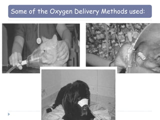Some of the Oxygen Delivery Methods used:
 