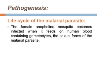 Pathogenesis:
Life cycle of the malarial parasite:
 The female anopheline mosquito becomes
infected when it feeds on human blood
containing gametocytes, the sexual forms of the
malarial parasite.
 