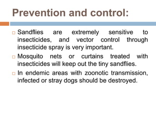 Prevention and control:
 Sandflies are extremely sensitive to
insecticides, and vector control through
insecticide spray is very important.
 Mosquito nets or curtains treated with
insecticides will keep out the tiny sandflies.
 In endemic areas with zoonotic transmission,
infected or stray dogs should be destroyed.
 