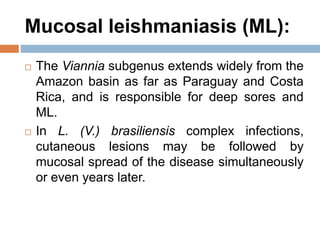 Mucosal leishmaniasis (ML):
 The Viannia subgenus extends widely from the
Amazon basin as far as Paraguay and Costa
Rica, and is responsible for deep sores and
ML.
 In L. (V.) brasiliensis complex infections,
cutaneous lesions may be followed by
mucosal spread of the disease simultaneously
or even years later.
 