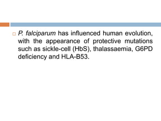  P. falciparum has influenced human evolution,
with the appearance of protective mutations
such as sickle-cell (HbS), thalassaemia, G6PD
deficiency and HLA-B53.
 