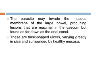  The parasite may invade the mucous
membrane of the large bowel, producing
lesions that are maximal in the caecum but
found as far down as the anal canal.
 These are flask-shaped ulcers, varying greatly
in size and surrounded by healthy mucosa.
 