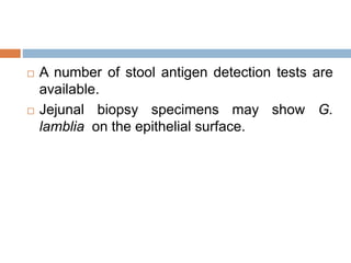  A number of stool antigen detection tests are
available.
 Jejunal biopsy specimens may show G.
lamblia on the epithelial surface.
 