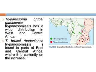  Trypanosoma brucei
gambiense
trypanosomiasis has a
wide distribution in
West and Central
Africa.
 T. brucei rhodesiense
trypanosomiasis is
found in parts of East
and Central Africa,
where it is currently on
the increase.
 