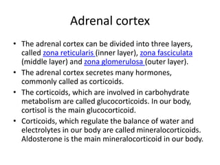 Adrenal cortex
• The adrenal cortex can be divided into three layers,
called zona reticularis (inner layer), zona fasciculata
(middle layer) and zona glomerulosa (outer layer).
• The adrenal cortex secretes many hormones,
commonly called as corticoids.
• The corticoids, which are involved in carbohydrate
metabolism are called glucocorticoids. In our body,
cortisol is the main glucocorticoid.
• Corticoids, which regulate the balance of water and
electrolytes in our body are called mineralocorticoids.
Aldosterone is the main mineralocorticoid in our body.
 