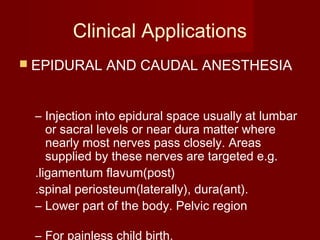 Clinical Applications
 EPIDURAL AND CAUDAL ANESTHESIA
– Injection into epidural space usually at lumbar
or sacral levels or near dura matter where
nearly most nerves pass closely. Areas
supplied by these nerves are targeted e.g.
.ligamentum flavum(post)
.spinal periosteum(laterally), dura(ant).
– Lower part of the body. Pelvic region
– For painless child birth.
 