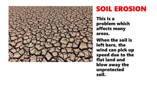 This is a
problem which
affects many
areas.
When the soil is
left bare, the
wind can pick up
speed due to the
flat land and
blow away the
unprotected
soil.
 