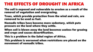 The soil is exposed and vulnerable to erosion as a result of the
removal of vegetation and overgrazing.
Trees, which provide protection from the wind and rain, are
removed to be used as fuel.
Nomadic tribes have become more sedentary, which puts
pressure on the land where they settle.
When soil is blown away the land becomes useless for grazing
and crops and causes desertification.
This is a problem in the Sahel region of Africa.
This problem is worsened when restrictions are placed on the
movement of nomadic tribes.
 