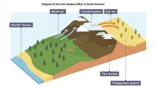 Diagram of the rain shadow effect in South America
 