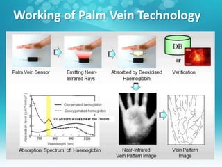 Working of Palm Vein Technology
 