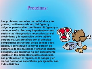 Las proteínas, como los carbohidratos y las
grasas, contienen carbono, hidrógeno y
oxígeno, pero también contienen nitrógeno y a
menudo azufre. Son muy importantes como
sustancias nitrogenadas necesarias para el
crecimiento y la reparación de los tejidos
corporales. Las proteínas son el principal
componente estructural de las células y los
tejidos, y constituyen la mayor porción de
sustancia de los músculos y órganos (aparte
del agua). Las proteínas no son exactamente
iguales en los diferentes tejidos corporales.
Las proteínas en el hígado, en la sangre y en
ciertas hormonas específicas, por ejemplo, son
todas distintas.
Proteínas:
 