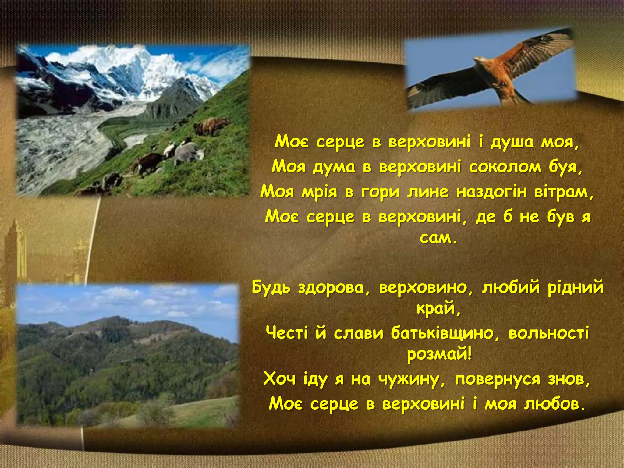 Моє серце в верховині і душа моя,
Моя дума в верховині соколом буя,
Моя мрія в гори лине наздогін вітрам,
Моє серце в верховині, де б не був я
сам.
Будь здорова, верховино, любий рідний
край,
Честі й слави батьківщино, вольності
розмай!
Хоч іду я на чужину, повернуся знов,
Моє серце в верховині і моя любов.
 