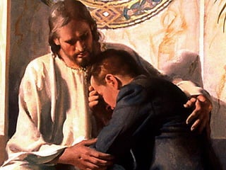 22. the sanctuary   2300 days