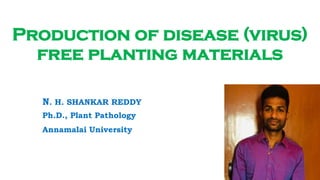 Production of disease (virus)
free planting materials
N. H. SHANKAR REDDY
Ph.D., Plant Pathology
Annamalai University
 