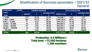 Governance and organizational structure of Socicana
 