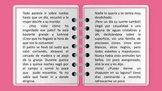 Todo parecía ir sobre ruedas
hasta que un día, escuchó a la
mujer decirle a su marido:
– ¿Has visto cómo ha
engordado ese pato? Ya está
bastante grande y lustroso
¡Creo que ha llegado la hora de
que nos lo comamos!
El patito se llevó tal susto que
salió corriendo, atravesó el
cercado de madera y se alejó
de la granja. Durante quince
días y quince noches vagó por
el campo y comió lo poco
que pudo encontrar. Ya no
sabía qué hacer ni a donde
dirigirse.
Nadie lo quería y se sentía muy
desdichado.
¡Pero un día su suerte cambió!
Llegó por casualidad a una
laguna de aguas cristalinas y
allí, deslizándose sobre la
superficie, vio una familia de
preciosos cisnes. Unos eran
blancos, otros negros, pero
todos esbeltos y majestuosos.
Nunca había visto animales tan
bellos. Un poco avergonzado,
alzó la voz y les dijo:
¡Hola! ¿Puedo darme un
chapuzón en su laguna? Llevo
días caminando y necesito
refrescarme un poco.
 
