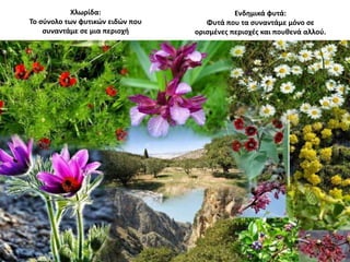 Χλωρίδα:
Το σύνολο των φυτικών ειδών που
συναντάμε σε μια περιοχή
Ενδημικά φυτά:
Φυτά που τα συναντάμε μόνο σε
ορισμένες περιοχές και πουθενά αλλού.
 