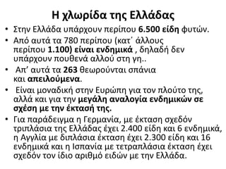 Η χλωρίδα της Ελλάδας
• Στην Ελλάδα υπάρχουν περίπου 6.500 είδη φυτών.
• Από αυτά τα 780 περίπου (κατ΄ άλλους
περίπου 1.100) είναι ενδημικά , δηλαδή δεν
υπάρχουν πουθενά αλλού στη γη..
• Απ’ αυτά τα 263 θεωρούνται σπάνια
και απειλούμενα.
• Είναι μοναδική στην Ευρώπη για τον πλούτο της,
αλλά και για την μεγάλη αναλογία ενδημικών σε
σχέση με την έκτασή της.
• Για παράδειγμα η Γερμανία, με έκταση σχεδόν
τριπλάσια της Ελλάδας έχει 2.400 είδη και 6 ενδημικά,
η Αγγλία με διπλάσια έκταση έχει 2.300 είδη και 16
ενδημικά και η Ισπανία με τετραπλάσια έκταση έχει
σχεδόν τον ίδιο αριθμό ειδών με την Ελλάδα.
 