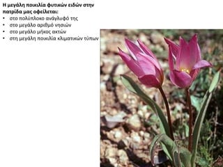 Η μεγάλη ποικιλία φυτικών ειδών στην
πατρίδα μας οφείλεται:
• στο πολύπλοκο ανάγλυφό της
• στο μεγάλο αριθμό νησιών
• στο μεγάλο μήκος ακτών
• στη μεγάλη ποικιλία κλιματικών τύπων
 