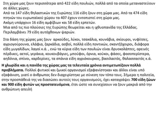 Στη χώρα μας ζουν περισσότερα από 422 είδη πουλιών, πολλά από τα οποία μεταναστεύουν
σε άλλες χώρες.
Από τα 147 είδη θηλαστικών της Ευρώπης 116 είδη ζουν στη χώρα μας. Από τα 474 είδη
πτηνών του ευρωπαϊκού χώρου τα 407 έχουν εντοπιστεί στη χώρα μας.
Ακόμη υπάρχουν 16 είδη αμφίβιων και 58 είδη ερπετών.
Μια από τις πιο πλούσιες της Ευρώπης θεωρείται και η ιχθυοπανίδα της Ελλάδας.
Περιλαμβάνει 79 είδη αυτόχθονων ψαριών.
Στα δάση της χώρας μας ζουν αρκούδες, λύκοι, τσακάλια, κουνάβια, σκίουροι, νυφίτσες,
αγριογούρουνα, ελάφια, ζαρκάδια, ασβοί, πολλά είδη ποντικών, σκαντζόχοιροι, διάφορα
είδη μυγαλίδων, λαγοί κ.ά. , ενώ τα κύρια είδη των πουλιών είναι δρυοκολάπτες, ορεινές
πέρδικες, αετοί, γεράκια, κουκουβάγιες, μπούφοι, όρνια, κούκοι, φάσες, φασοπερίστερα,
αηδόνια, σπίνοι, καρδερίνες, τα σπάνια είδη αγριόκουρκος, βασιλαετός, θαλασσαετός κ.ά.
Η χλωρίδα και η πανίδα της χώρας μας τα τελευταία χρόνια αντιμετωπίζουν πολλά
προβλήματα. Πολλοί φυτικοί και ζωικοί οργανισμοί εξαφανίστηκαν και άλλοι είναι υπό
εξαφάνιση, γιατί ο άνθρωπος δεν διαχειρίστηκε με σύνεση τον τόπο τους. Σήμερα η πολιτεία,
στην προσπάθειά της να διασώσει αυτούς τους οργανισμούς, έχει καταγράψει 700 είδη ζώων
και 900 είδη φυτών ως προστατευόμενα, έτσι ώστε να συνεχίσουν να ζουν μακριά από την
ανθρώπινη απειλή
 