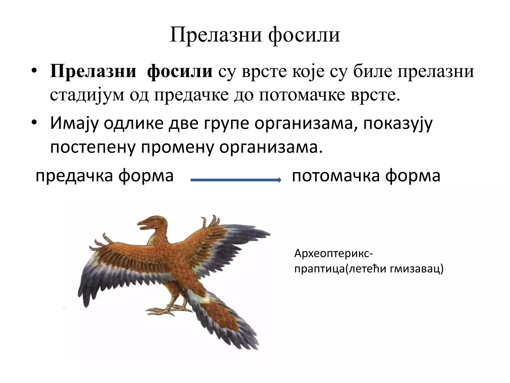 22.bio7Dokazi evolucije.pdf