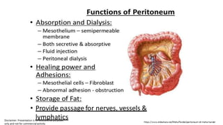 • Provide passage for nerves, vessels &
lymphatics
 
