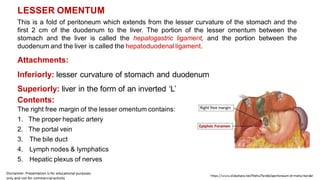 LESSER OMENTUM
This is a fold of peritoneum which extends from the lesser curvature of the stomach and the
first 2 cm of the duodenum to the liver. The portion of the lesser omentum between the
stomach and the liver is called the hepatogastric ligament, and the portion between the
duodenum and the liver is called the hepatoduodenal ligament.
Attachments:
Inferiorly: lesser curvature of stomach and duodenum
Superiorly: liver in the form of an inverted ‘L’
Contents:
The right free margin of the lesser omentum contains:
1. The proper hepatic artery
2. The portal vein
3. The bile duct
4. Lymph nodes & lymphatics
5. Hepatic plexus of nerves
 