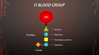 O BLOOD GROUP
Glucose
Galactose
N-acetylglucosamine
Galactose
H antigen
RBC
Fucose
 